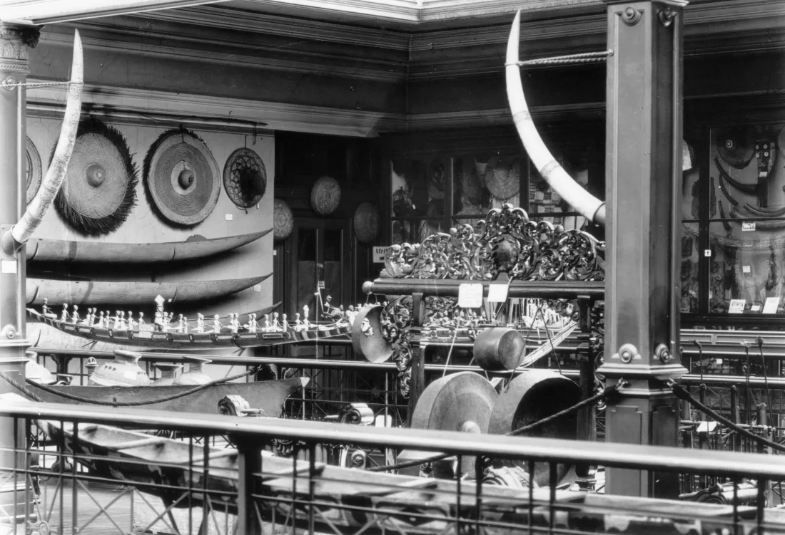 Innenansicht, Naturhistorisches Museum Hamburg um 1890, Sammlung Culturhistorisches Museum, s/w Fotografie