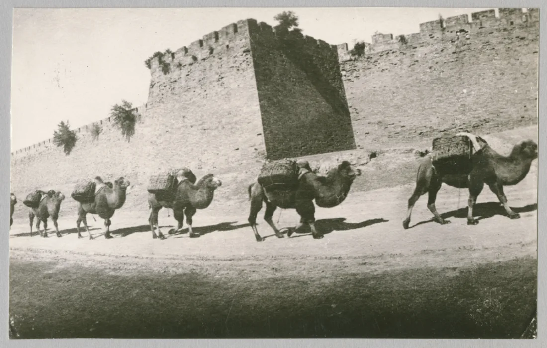 Historische Fotografier Kamelkarawane vor der Stadtmauer