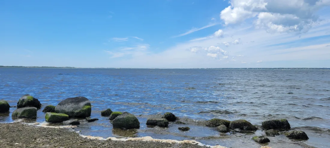 Shinnecock Bay