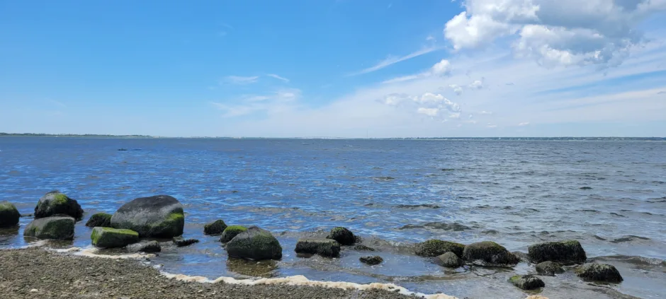 Shinnecock Bay