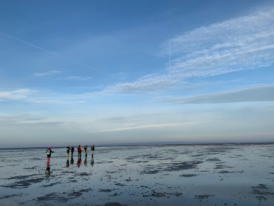 Mit Wasser leben auf den Halligen: Wattenmeer Wanderung