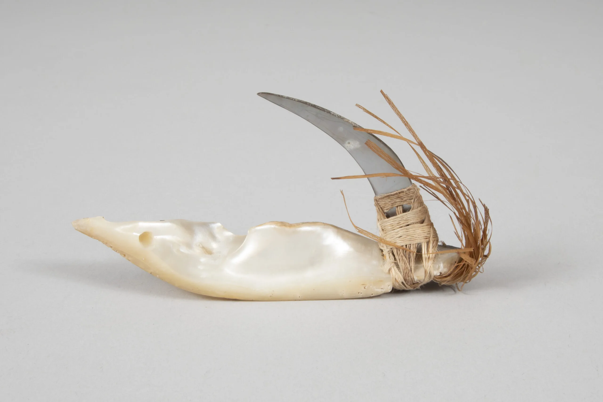 Fishhook, Majuro Atoll, Marshall Islands before 1910 Pacific Ocean Shell, plant fibre
