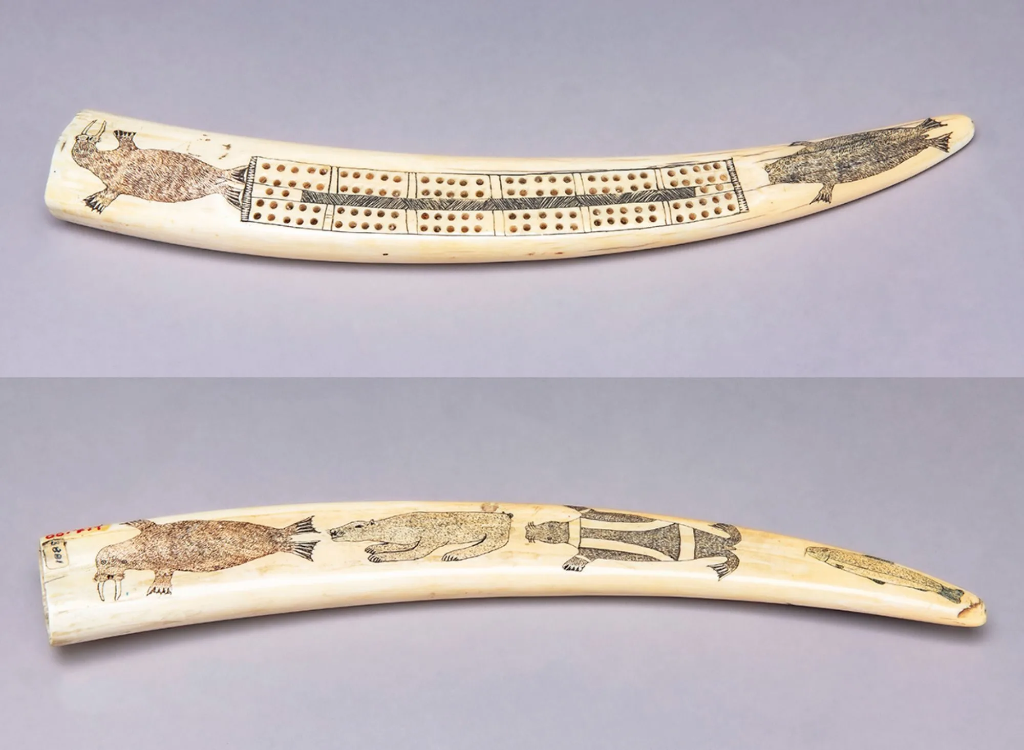 Cribbage scrimshaw board, Yupiit or Iñupiat, Alaska, before 1966, Bering Sea Walrus tusk