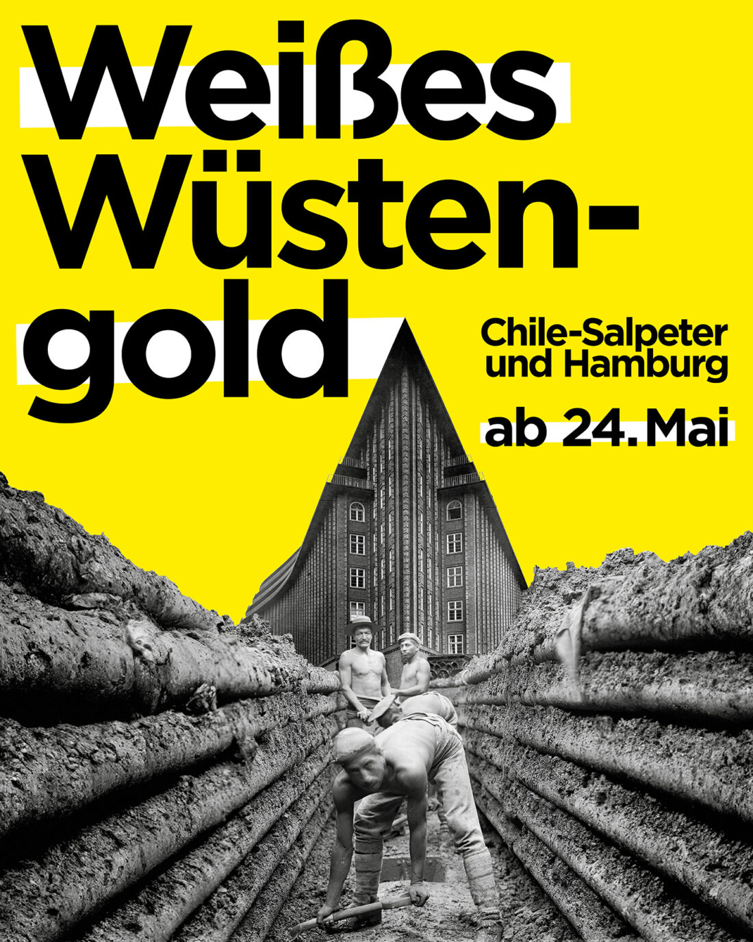 Plakatmotiv Weißes Wüstengold